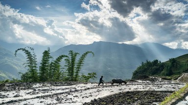Vẻ đẹp ruộng bậc thang Lào Cai mùa nước đổ