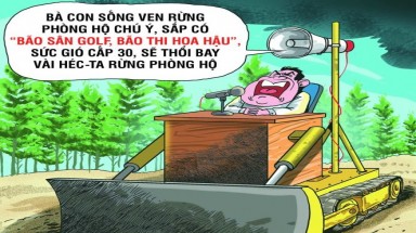 Những cảm hứng tai hại của cán bộ