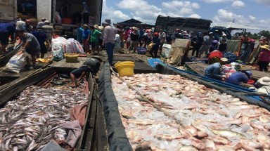 Cá chết trắng sông, dân bán nhà trốn ô nhiễm, ngành TN&MT, địa phương ở đâu?