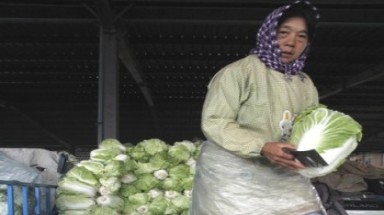  Kiểm tra hàm lượng formaldehyde trên rau quả