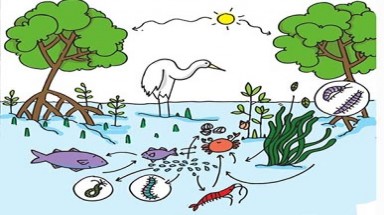 "Đa dạng sinh học của chúng ta, thực phẩm của chúng ta, sức khỏe của chúng ta"