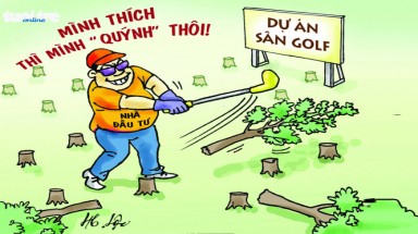 Phá rừng phòng hộ Phú Yên, căn bệnh của chín đa nghi