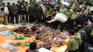 Khởi động dự án "Phòng, chống buôn bán trái pháp luật các loài động, thực vật hoang dã"