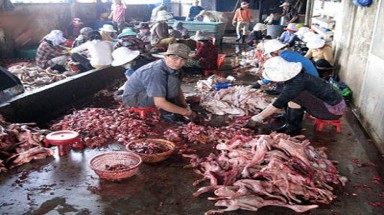  Bắt quả tang 2 cơ sở “biến hoá” gà chết đưa ra thị trường 