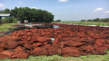 Tây Ninh: Phát hiện Công ty chế biến vỏ hạt điều xả chất thải chưa xử lý ra môi trường 