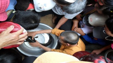  Đăk Lăk: Cá lóc nổi 18 chữ Hán trên đầu