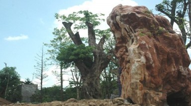  Bí thư tỉnh uỷ Hải Dương nói gì về ngôi nhà vườn trị giá hàng trăm tỷ ?