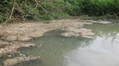  Hà Nam: Sông Cao Dương đang bị "bức tử" 