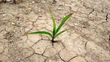  Chính sách ứng phó biến đổi khí hậu cần cụ thể, thiết thực