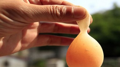 "Lạ lùng" quả trứng gà có đuôi !
