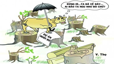 Lâm tặc liều mạng