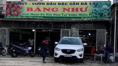 Trả lại nước cốt dâu, du khách bị đánh nhập viện ở Đà Lạt