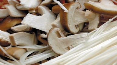 Ăn nấm ngăn ngừa ung thư ?