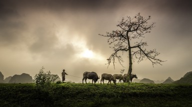 Bắc Bộ và Trung Bộ nắng nóng chấm dứt, Tây Nguyên và Nam Bộ đề phòng thời tiết nguy hiểm