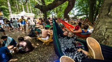 Thiên nhiên chết dần vì tiếng ồn của du khách