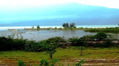 "Nín thở" trước dải rừng ngập mặn cuối cùng ở Lăng Cô bị... ám sát