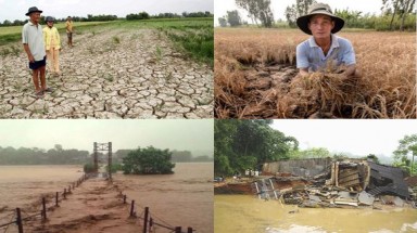 Các biện pháp cơ bản ứng phó với thiên tai