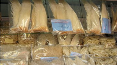 Mua nhân sâm, vi cá mập tẩm bổ mùa thi