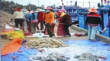  Quảng Ngãi: Trúng đậm vú nàng