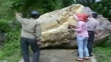 Nghệ An: Hàng trăm hộ dân bị đe dọa bởi núi lở