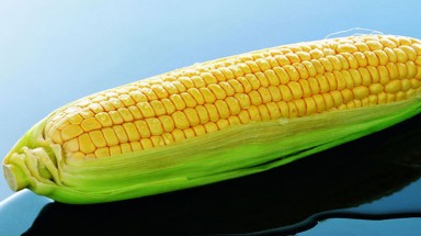 Ăn ngô mùa hè giúp giảm cân, chống lão hóa, phòng ung thư
