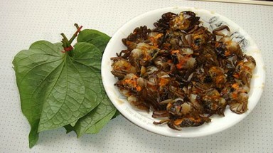  Rạm kho nơi đất Thái Bình