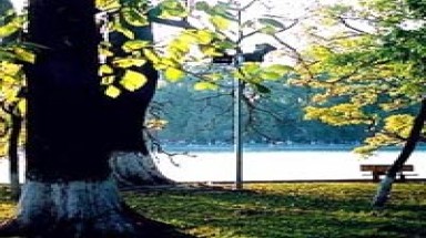 Hà Nội hửng nắng