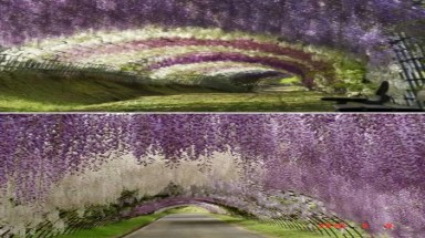 10 lối đi kỳ quặc nhất hành tinh