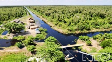  24 chính sách khẩn cấp để cứu các hệ sinh thái