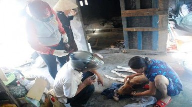  Con bê 2 cằm, 2 lưỡi và 4 lỗ mũi