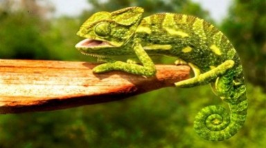 Những hình ảnh cực kỳ ấn tượng của thế giới 7 ngày qua