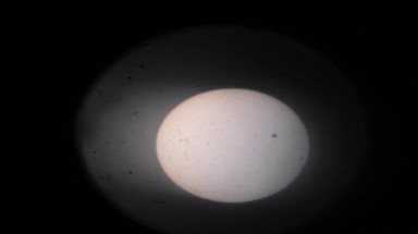 Hình ảnh sao Kim đi ngang qua đĩa mặt trời