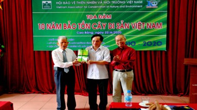 Hội BVTN&MT Việt Nam  tổ chức chuỗi hoạt động kỷ niệm 10 năm Bảo tồn Cây Di sản Việt Nam (2010-2020)