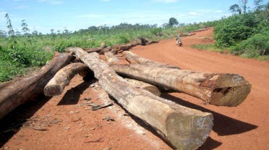  Bình Phước: “Sếp” làm sai, “lính” nộp tiền khắc phục