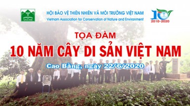 Tổ chức Tọa đàm 10 năm Sự kiện Bảo tổn Cây Di sản Việt Nam tại Cao Bằng
