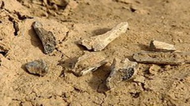 Bí mật dưới ‘toilet’ 4.000 tuổi ở Việt Nam