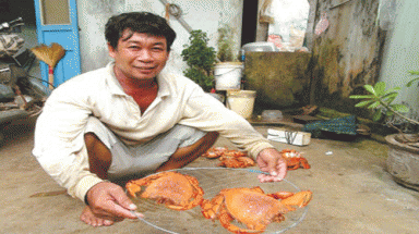 Bẫy cua “vua” Huỳnh Đế