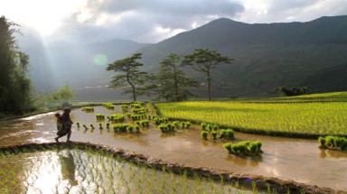 Quyến rũ ruộng bậc thang mùa cấy