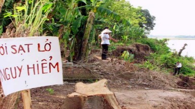 Phú Thọ: Sạt lở nghiêm trọng trên tuyên đê quai thuộc xã Hiền Quan