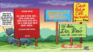 Báo đen Đồng Nai làm món gì ngon?
