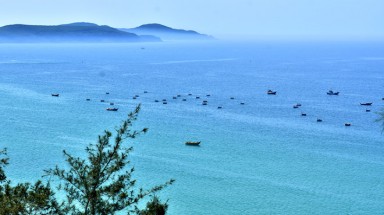  Quảng Ngãi lo xảy ra sự cố môi trường ở nhà máy giấy 10.000 tỷ