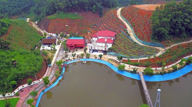 Giám đốc Sở Tài nguyên Yên Bái kê khai có những tài sản gì?