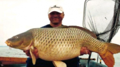  Nuôi thử nghiệm cá chép V1 trên ruộng lúa