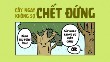 Cây ngay sao phải sợ chết đứng!?