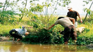 Mùa săn chuột đồng …