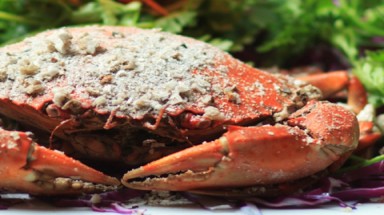 Cua trinh nữ - món ăn chỉ có ở Việt Nam