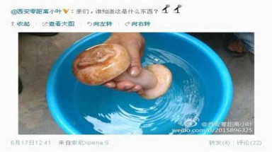 Phóng viên truyền hình nhầm dụng cụ thủ dâm là... nấm