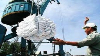Tháng 5, xuất khẩu gạo tăng cao kỷ lục