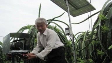Tưới nhỏ giọt cho thanh long bằng năng lượng mặt trời