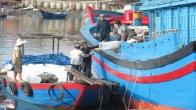  Câu đèn cá ngừ đại dương